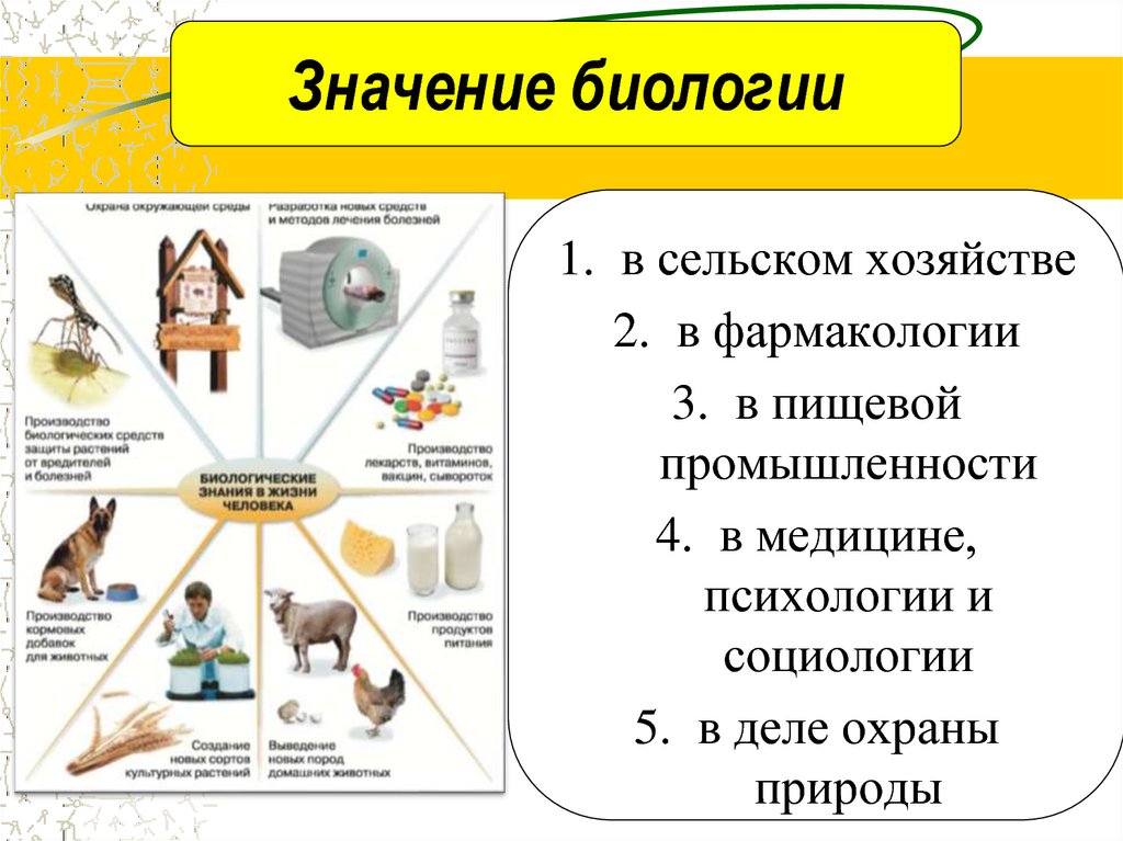 Презентация на тему биология в жизни каждого