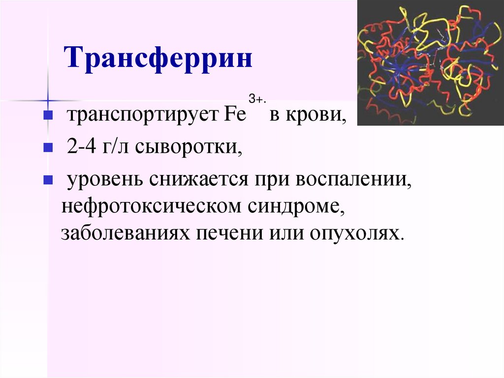 Трансферрин сыворотки крови. Специфические транспортные белки трансферрин. Трансферрин сыворотки крови что это. Белок трансферрин. Трансферрин транспортирует.