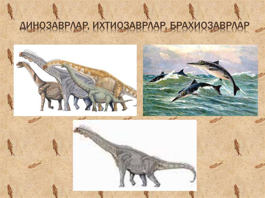 Динозаврлар, ихтиозаврлар, брахиозаврлар
