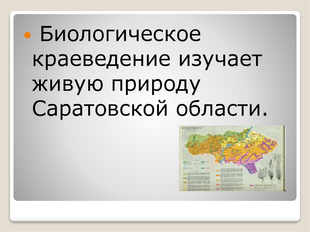 Презентации краеведение воронежской области