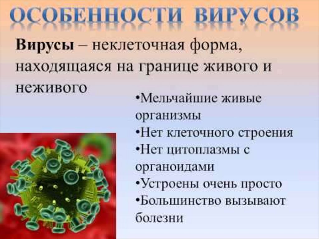 Строение и жизнедеятельность вирусов 5 класс. Вирусы презентация. Вирусы кратко. Вирусы по биологии. Презентация по биологии вирусы.