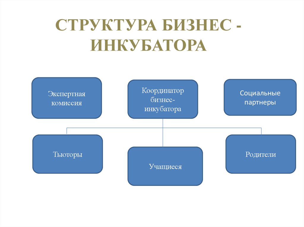 Структура бизнеса схема