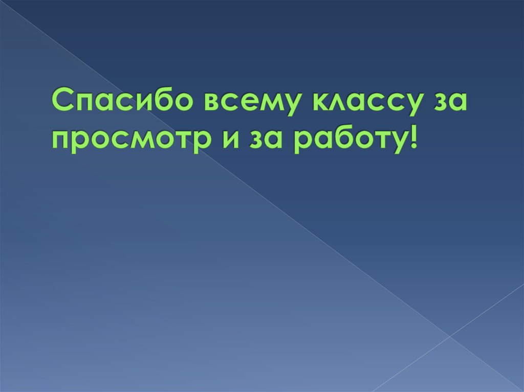 Спасибо всему классу за просмотр и за работу!