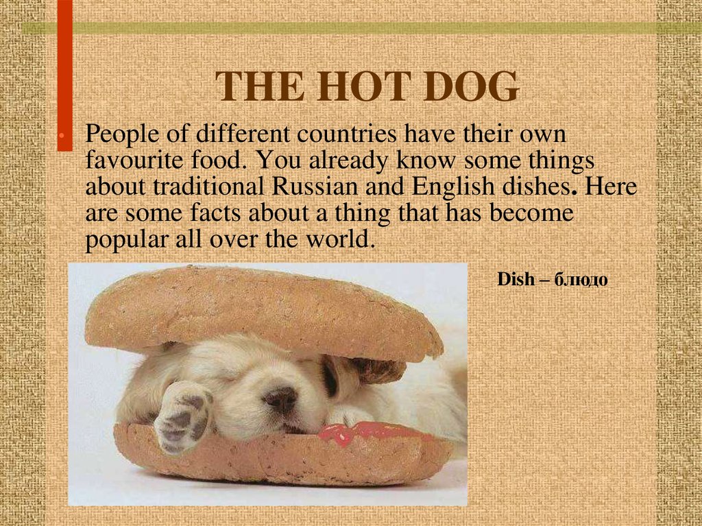 THE HOT DOG