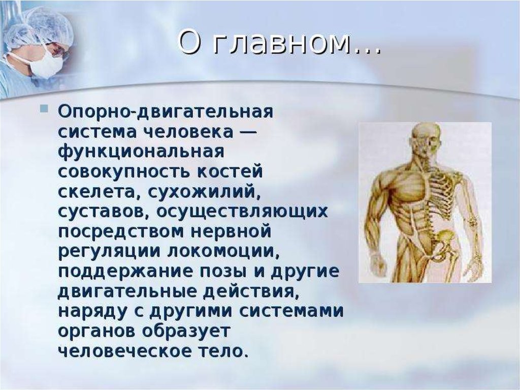 Факты систем органов человека. Опорно-двигательная система человека. Органы опорно двигательной системы. Система органов опорно двигательная система. Интересные факты о скелете.