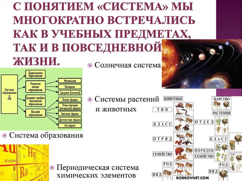 Теория систем понятия