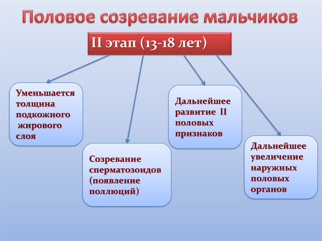 Половое созревание презентация