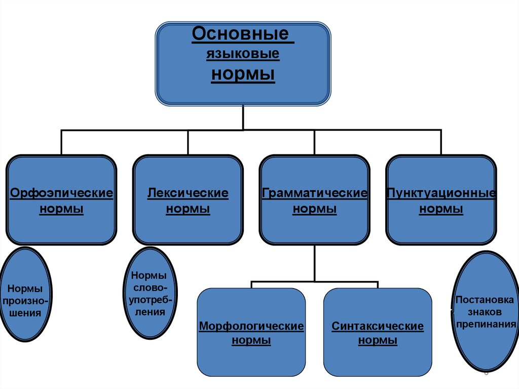 Нормы русской речи. Языковые нормы. Языковая норма. Основные языковые нормы. Языковая норма примеры.