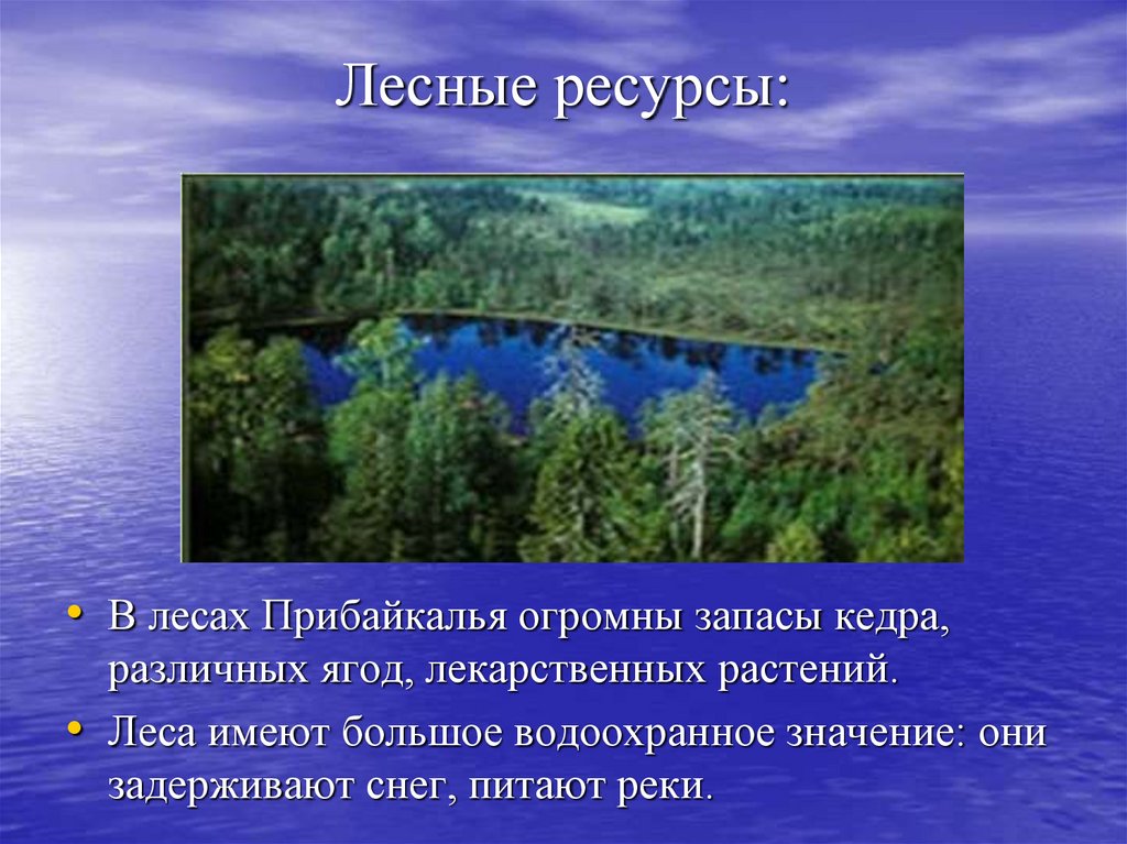 Природные ресурсы урала водные. Лесные ресурсы. Природные ресурсы Урала Лесные. Лесные ресурсы Байкала. Лесные ресурсы Урала кратко.