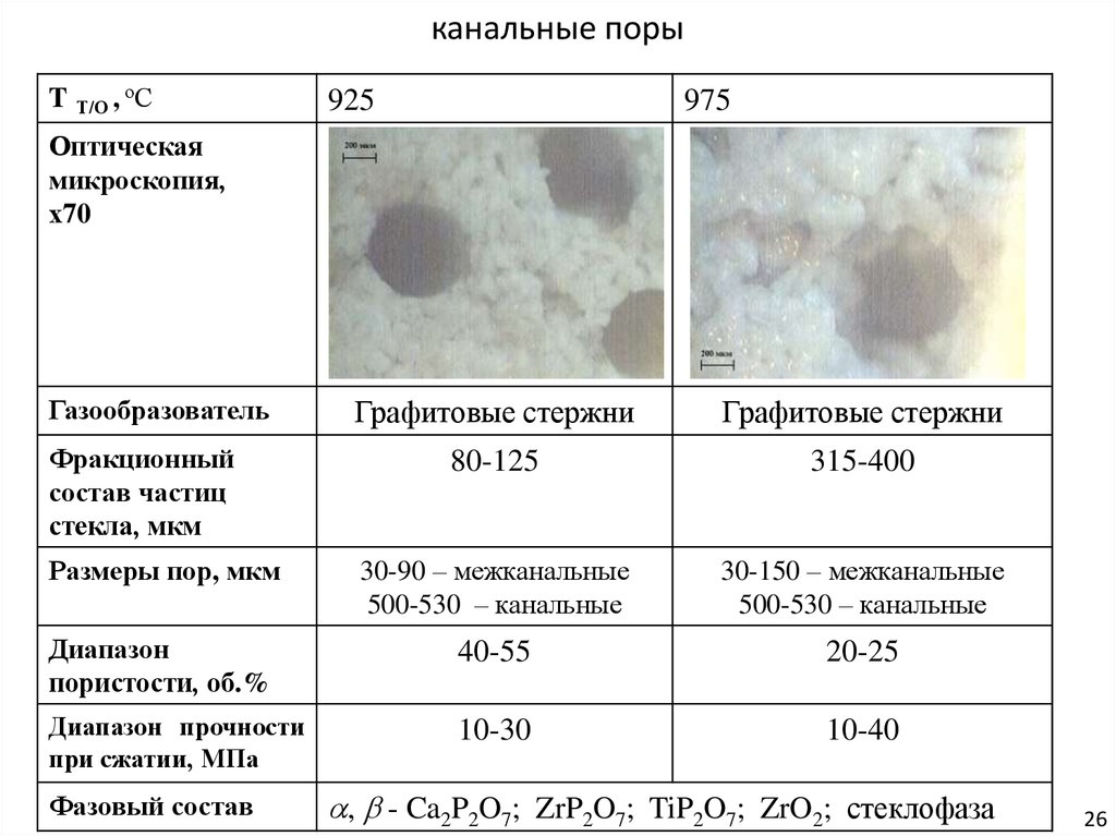 Размер пор. Канальная пора. Канальные поры рентген. Канальные поры на пленке. Канальные поры фотоснимка.