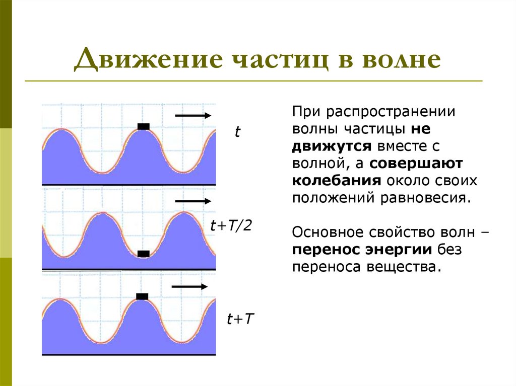 Движение волны