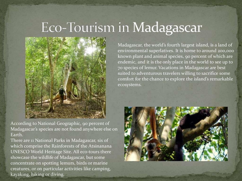 Eco-Tourism in Madagascar