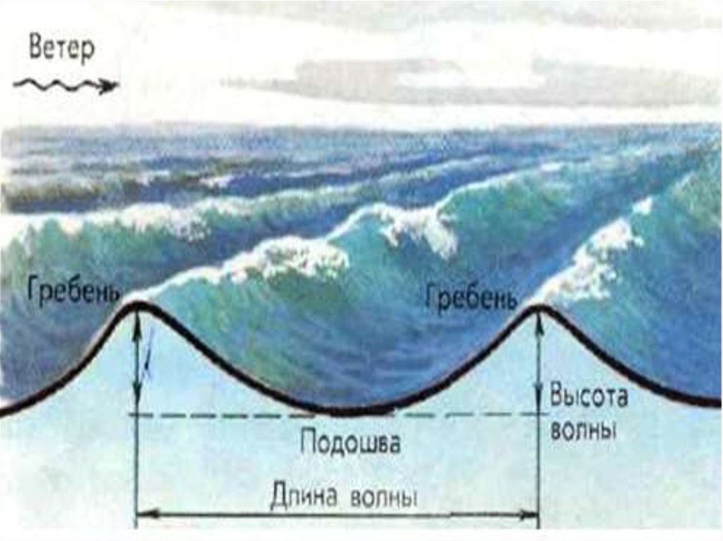 Частота морской волны. Схема волны. Строение волны. Строение ветровой волны. Схема ветровой волны.