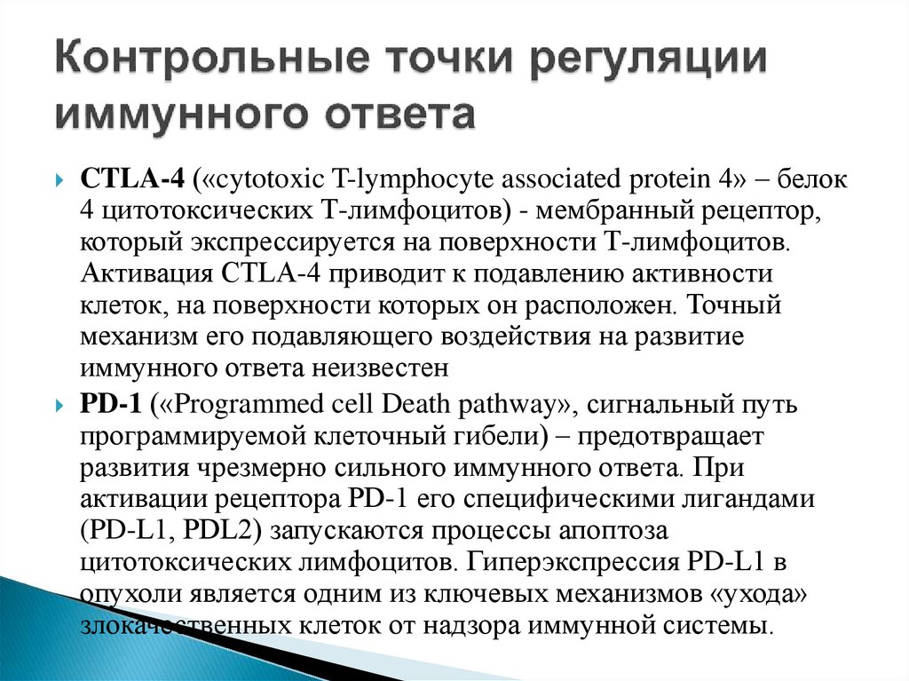 Division 2 контрольная точка университет где находится