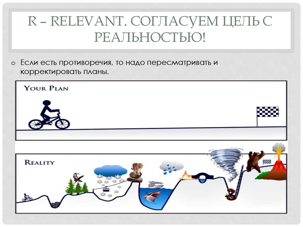 Твой план реальность