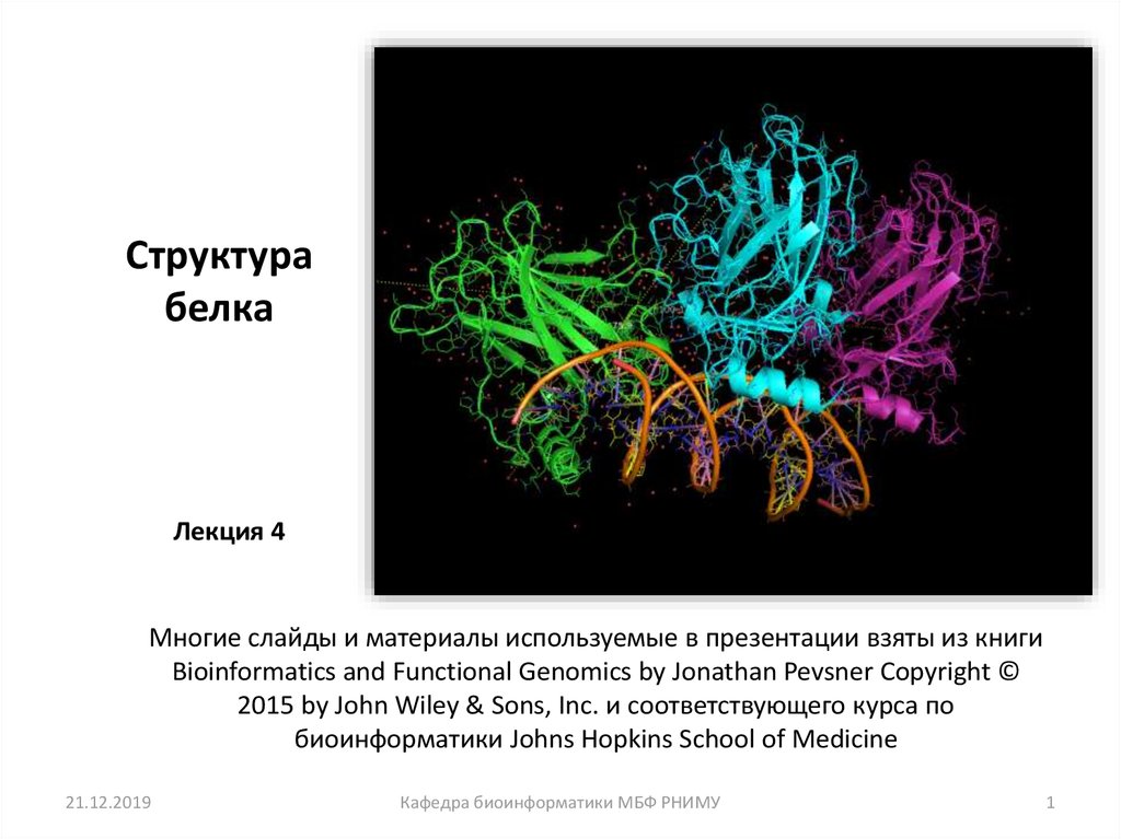 Доменная структура белка