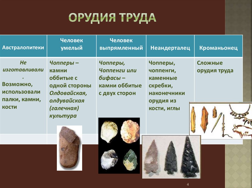 Составьте схему эволюции орудий труда