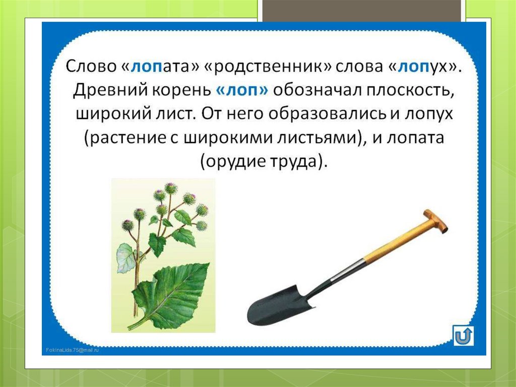 Анаграмма лопата. Загадка про лопату. Этимология слова лопата. Загадка про лопату для детей. Словарная работа лопата.