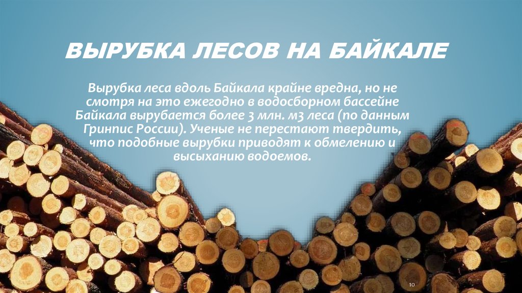Вырубка лесов на Байкале