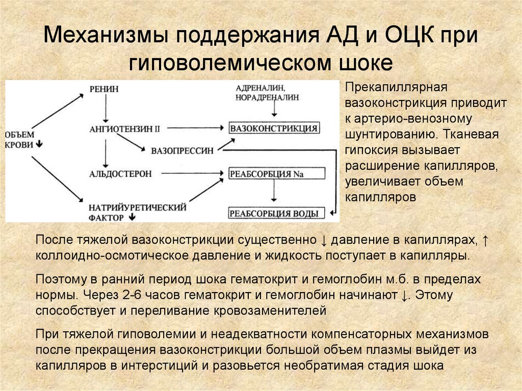 Механизмы поддержания. Механизмы поддержания ОЦК. Компенсаторные механизмы при шоке. Механизм гиповолемического шока. ОЦК при шоке.