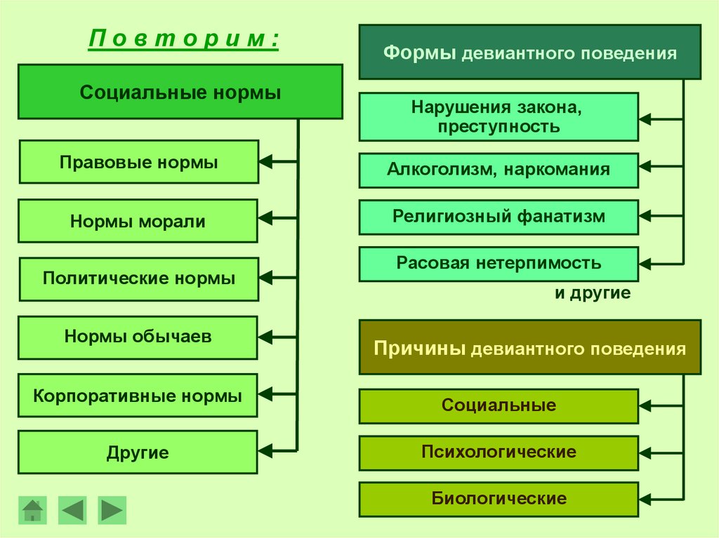 Какие есть общественные нормы