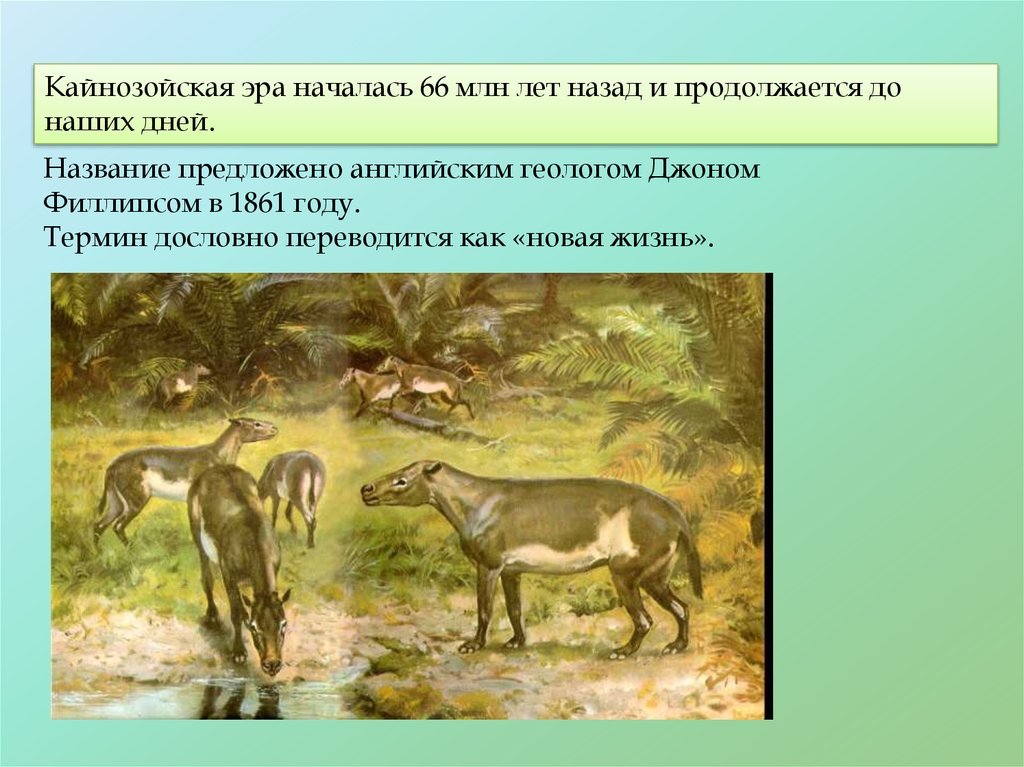 1 период кайнозоя. Животные кайнозойской эры с названиями. Кайнозойская Эра. Кайнозойская Эра палеоген презентация. Эры кайнозойской эры.