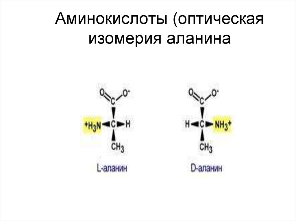 Оптические аминокислоты. Оптическая изомерия аминокислот. Изомерия аминокислот оптическая изомерия. Оптические изомеры аминокислот. Оптическая активность аминокислот.