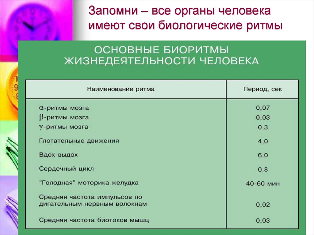 Организация режима жизнедеятельности в разном возрасте презентация