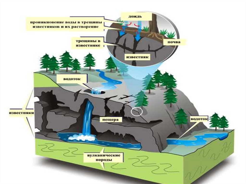 Выполните схематический рисунок образование подземных вод подпишите на вашем рисунке грунтовые воды