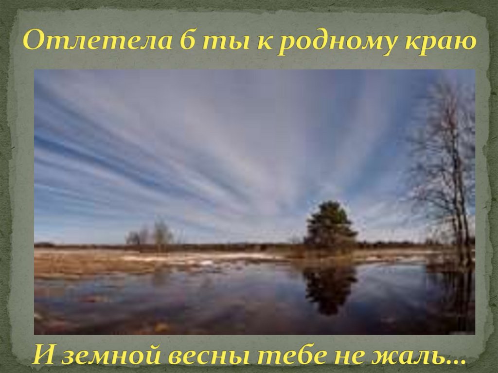 Отлетела б ты к родному краю И земной весны тебе не жаль…