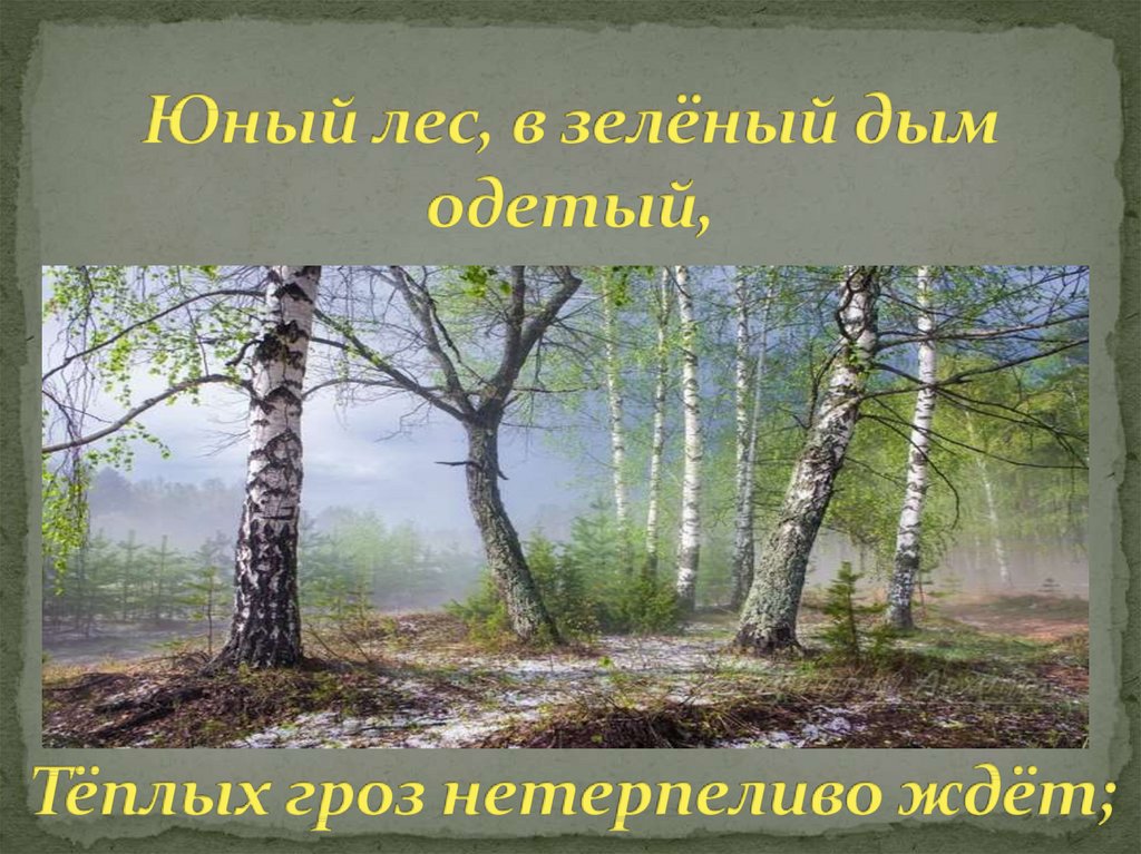 Юный лес, в зелёный дым одетый, Тёплых гроз нетерпеливо ждёт;