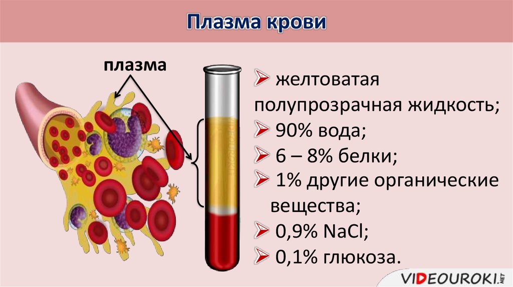 Компоненты крови презентация