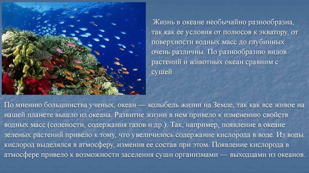 Сообщение жизнь в океане. Жизнь в океане презентация. Сообщение на тему жизнь в океане. Реферат жизнь в океане.