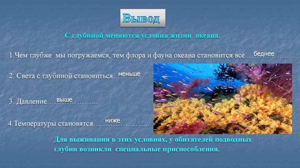 Сочинение на тему океан. Сообщение на тему жизнь в океане. Доклад на тему жизнь в мировом океане. Жизнь в океане 6 класс доклад. Заключение доклада жизнь в океане.