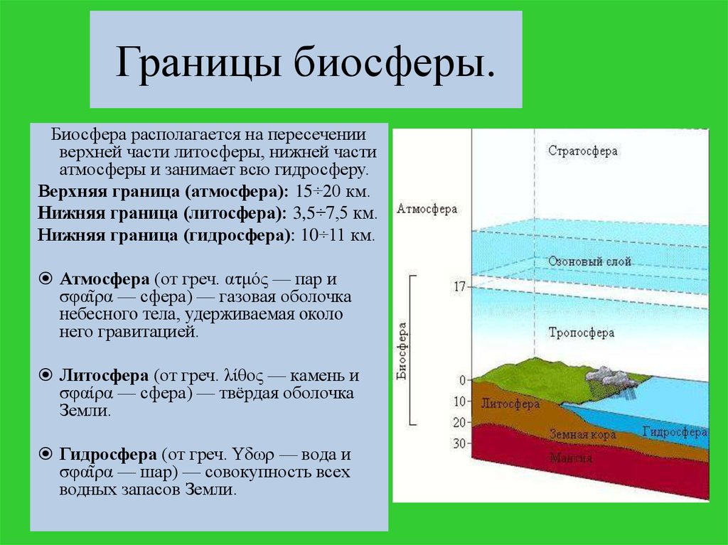 Ресурсы биосферы схема