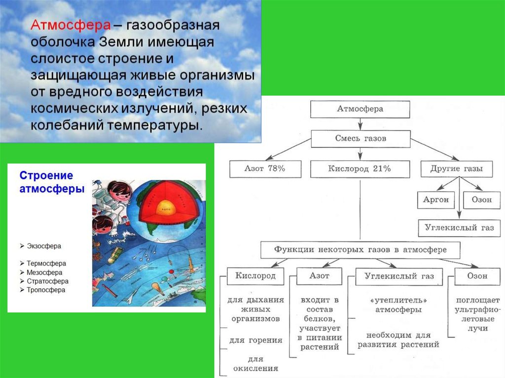 Таблица оболочки биосферы. Биосфера ее структура и функции таблица. Биосфера состав и строение. Строение состав и функции биосферы. Биосфера и ее структура таблица.