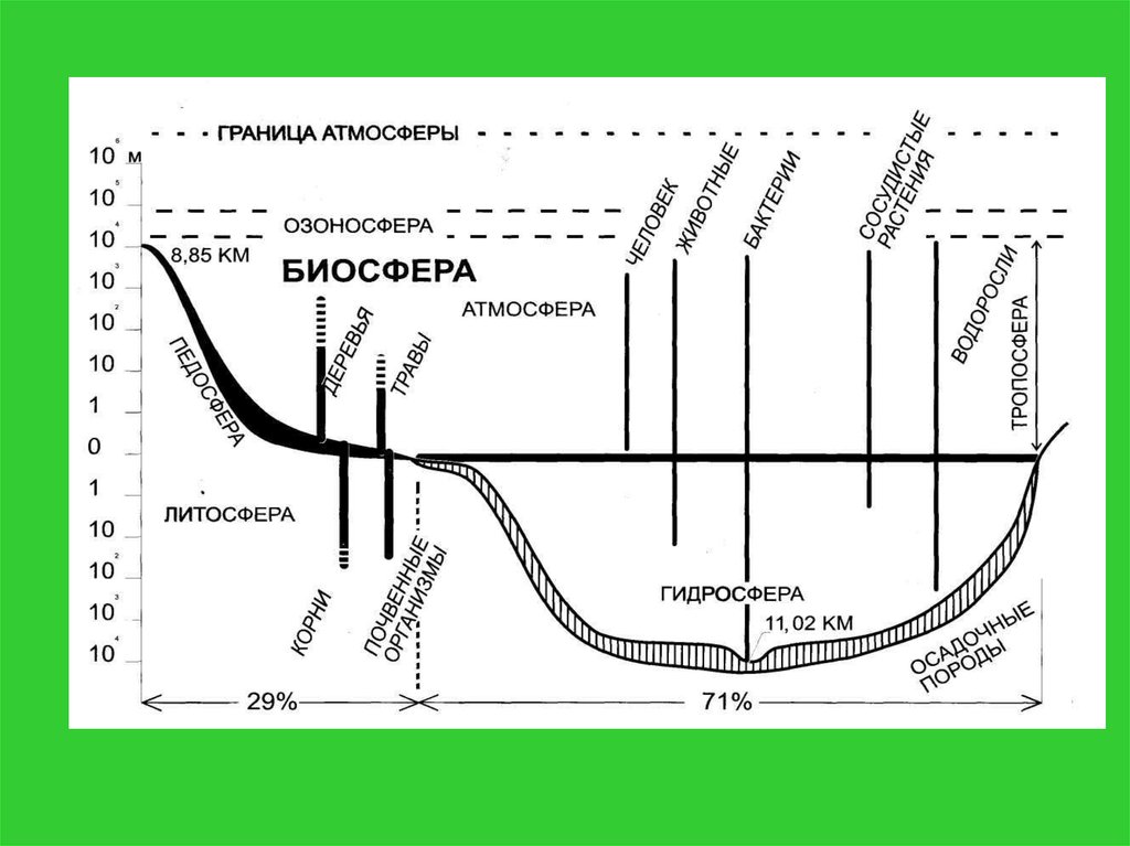 Верхняя граница в атмосфере определяется. Строение биосферы схема. Границы биосферы схема. Сема Биосфера. Схема границы жизни в биосфере.