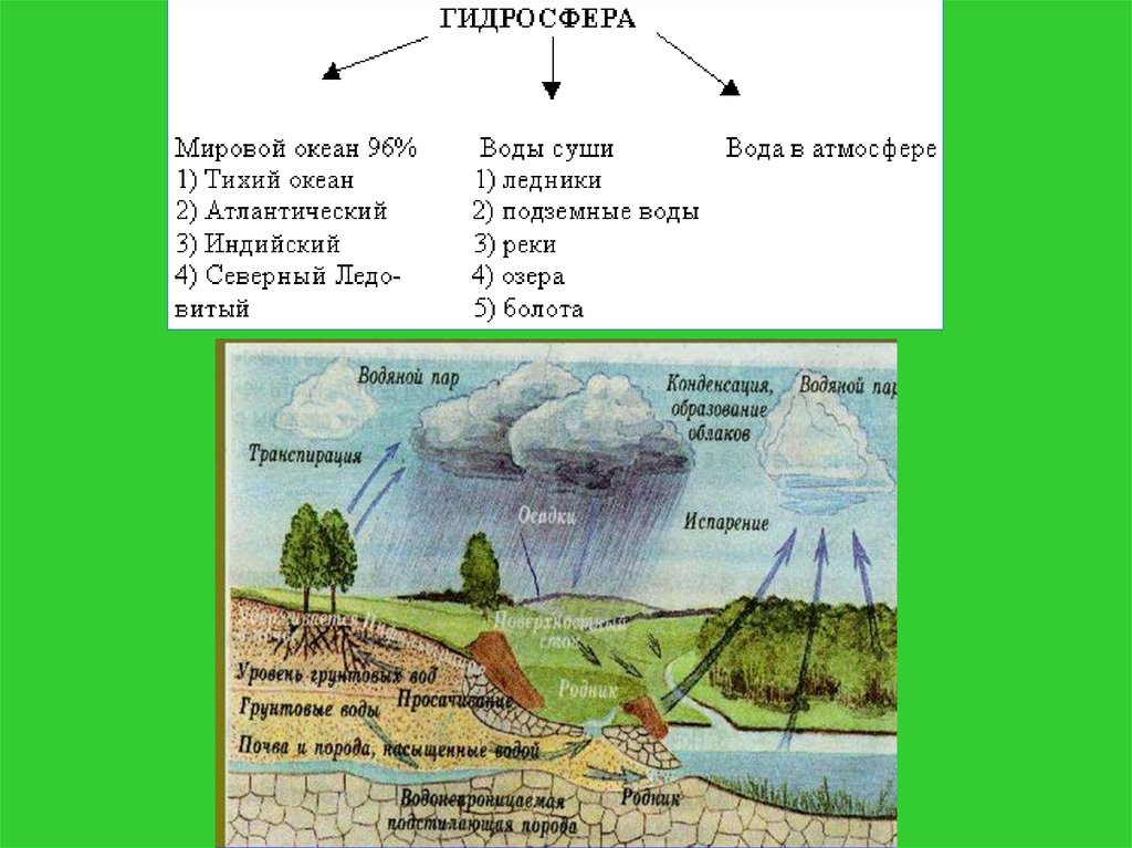 Задания по теме биосфера. Биосфера ее структура и функции. Структура биосферы и функции ее живого вещества. Структура биосферы примеры. Структурные части биосферы.