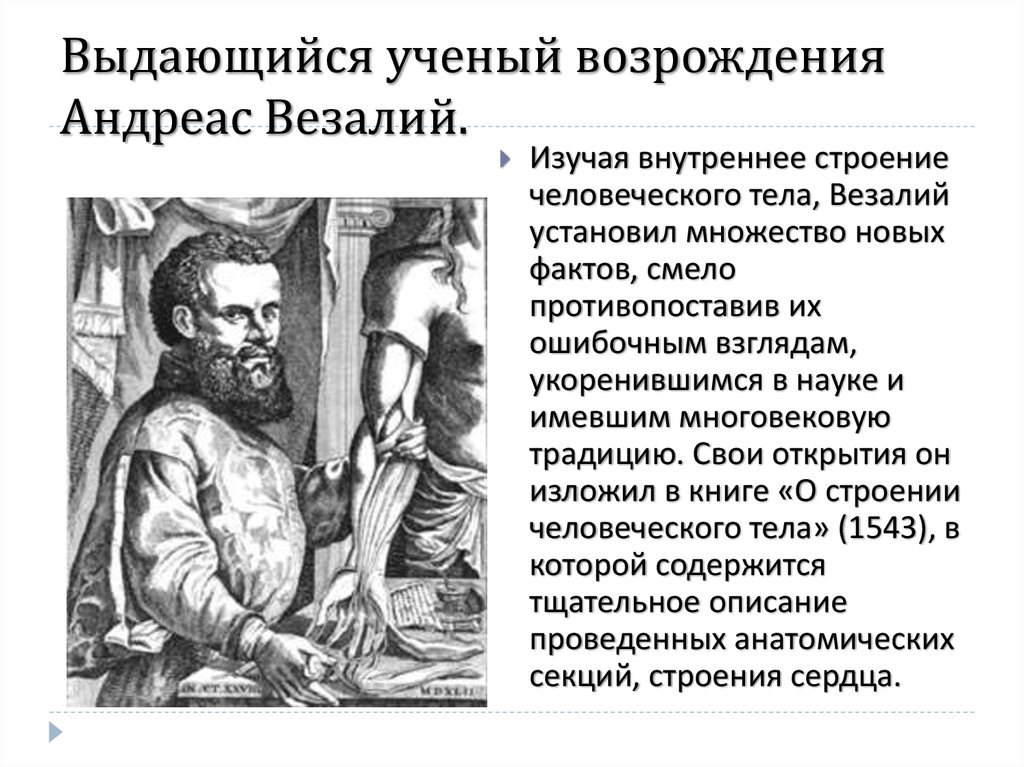 Везалий открытия