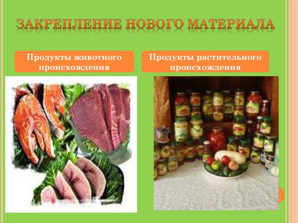 Материалы животного происхождения. Классификация продуктов животного происхождения. Пища животного происхождения продукты животного происхождения. Продукты растительного происхождения классификация. Растительная и животная пища.