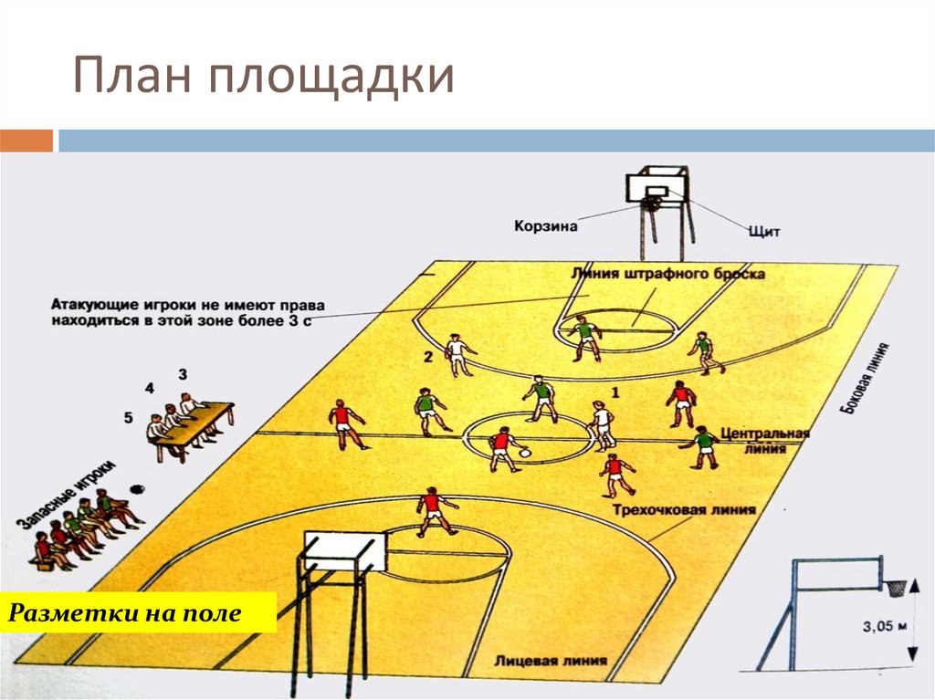 Баскетбол поле схема