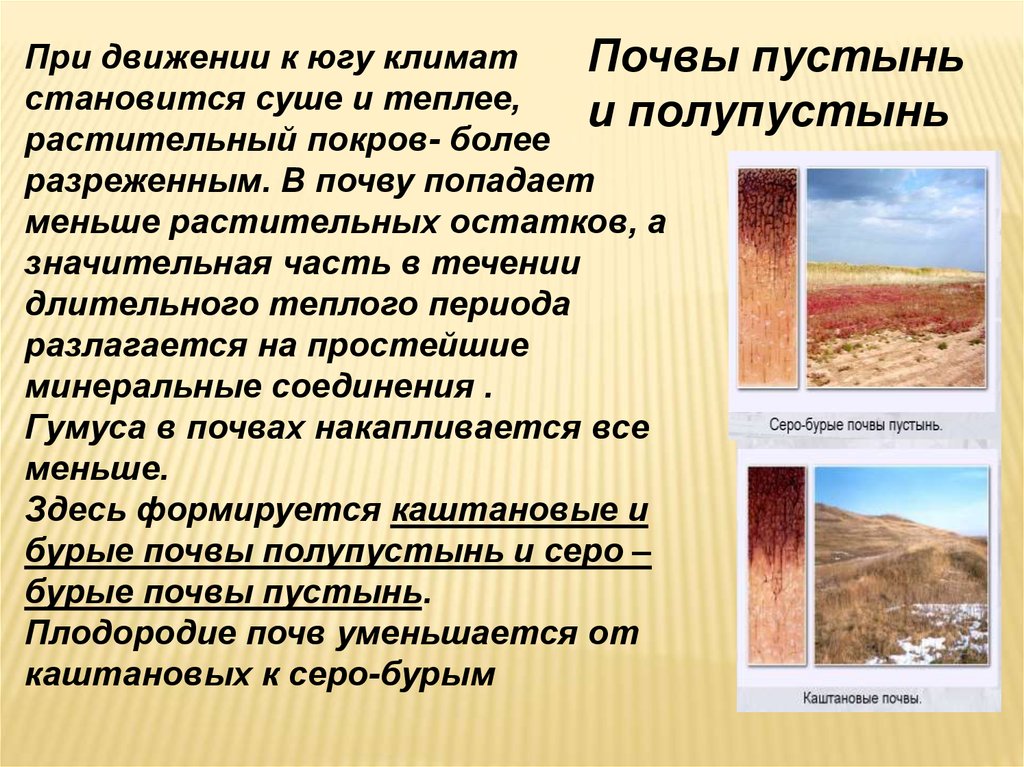 Особенности почв полупустынь. Полупустыни и пустыни почвы. Почвы пустыни и полупустыни в России. Тип почв в полупустынях России. Зона полупустынь типы почв.