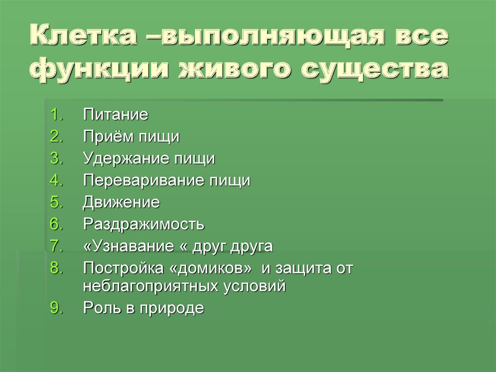 Жизнедеятельность животных. Процессы жизнедеятельности животных. Функции живого существа. Роль одноклеточных организмов в природе. Процессы жизнедеятельности и функции.