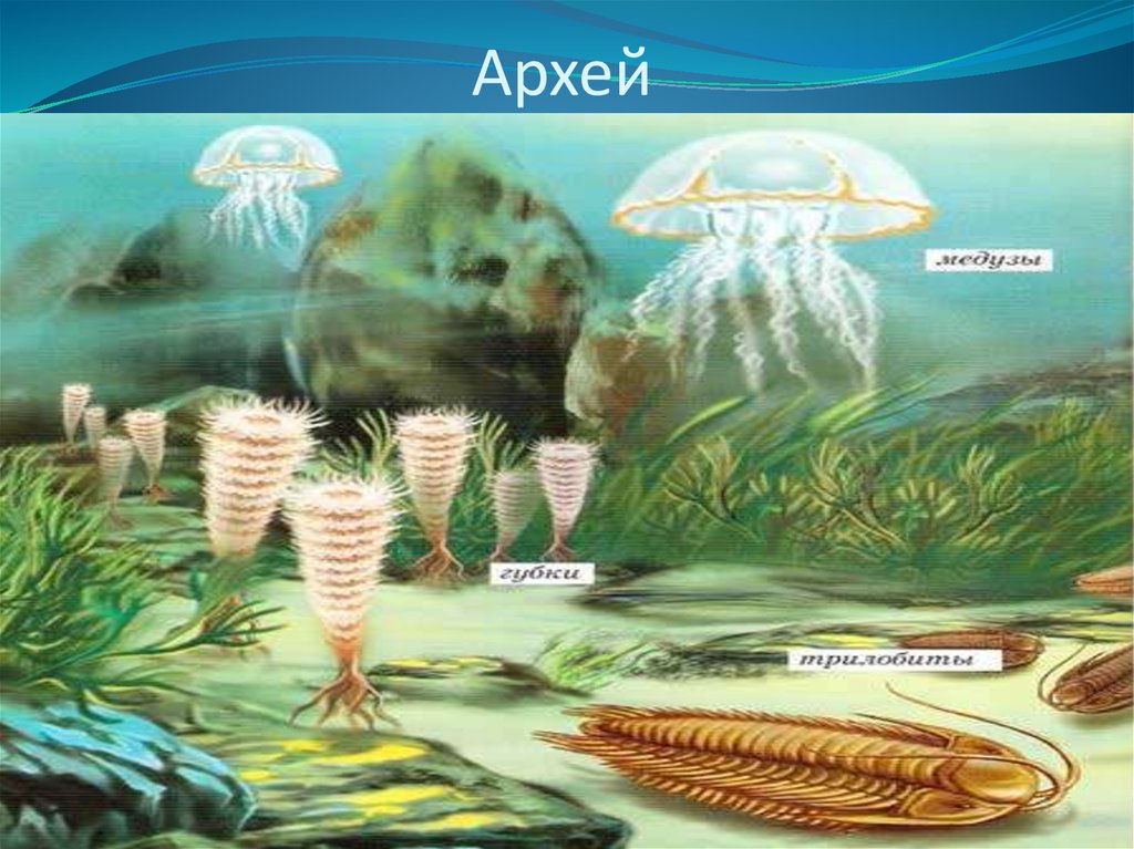 Органический мир архейской эры