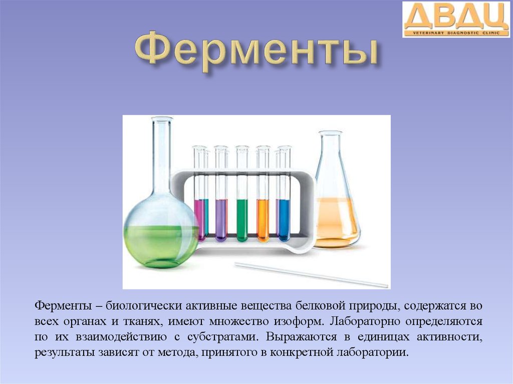 Вещества белковой природы. Ферменты это вещества белковой природы. Ферменты биологические активные вещества белковой природы. Ферменты презентация Инфоурок. Опыты с ферментами презентация.