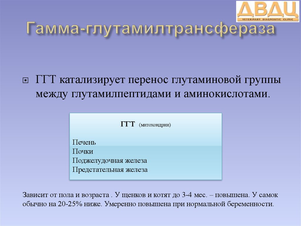 Ггт гамма глутамилтрансфераза повышена