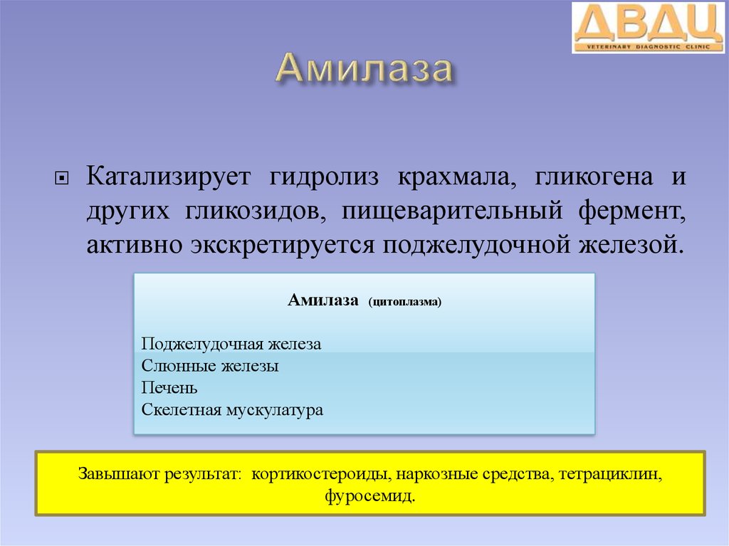 Что такое амилаза. Амилаза катализирует. Реакция катализируемая амилазой. Какую реакцию катализирует амилаза. Альфа амилаза реакция.