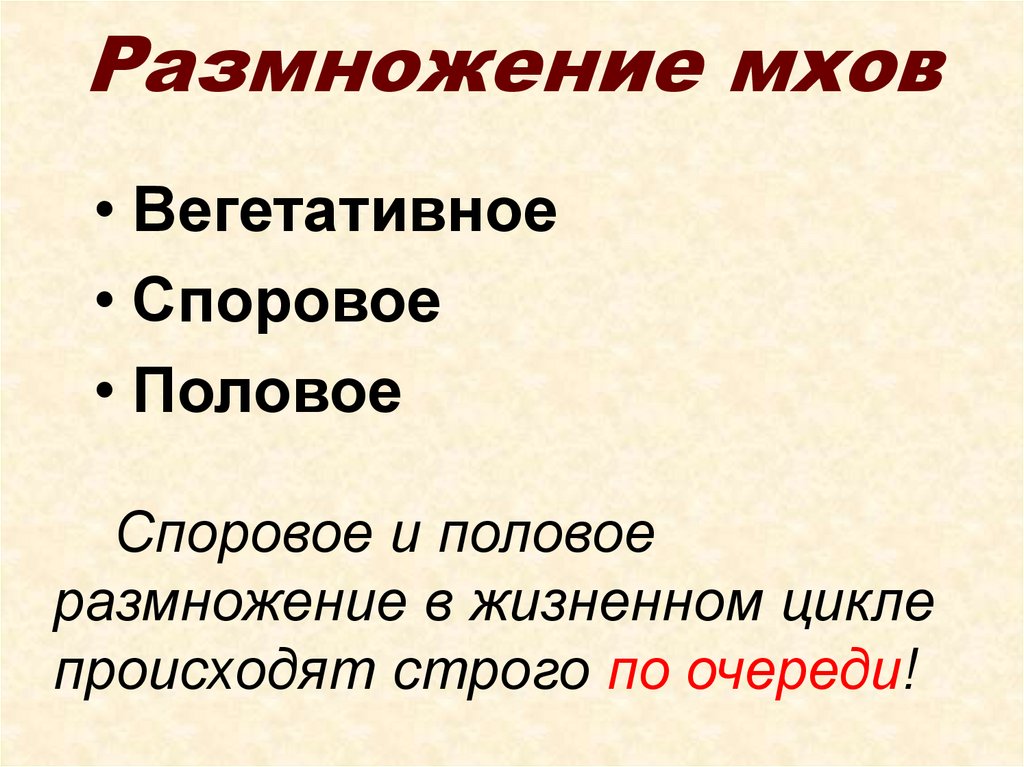 Вегетативное размножение мхов