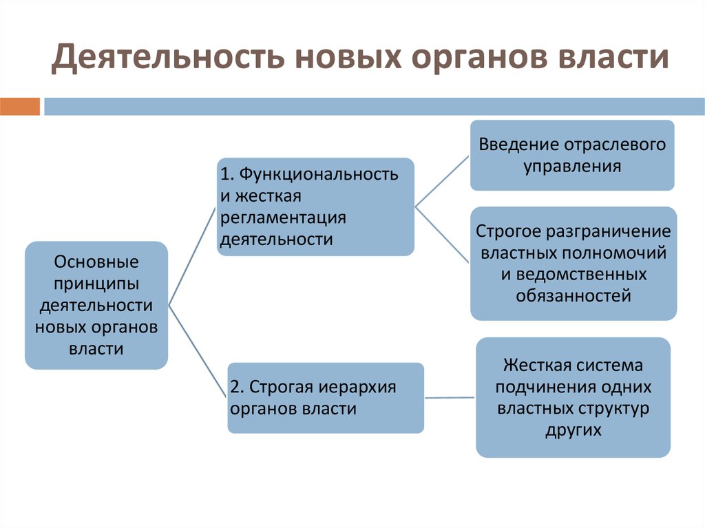 Новая деятельность