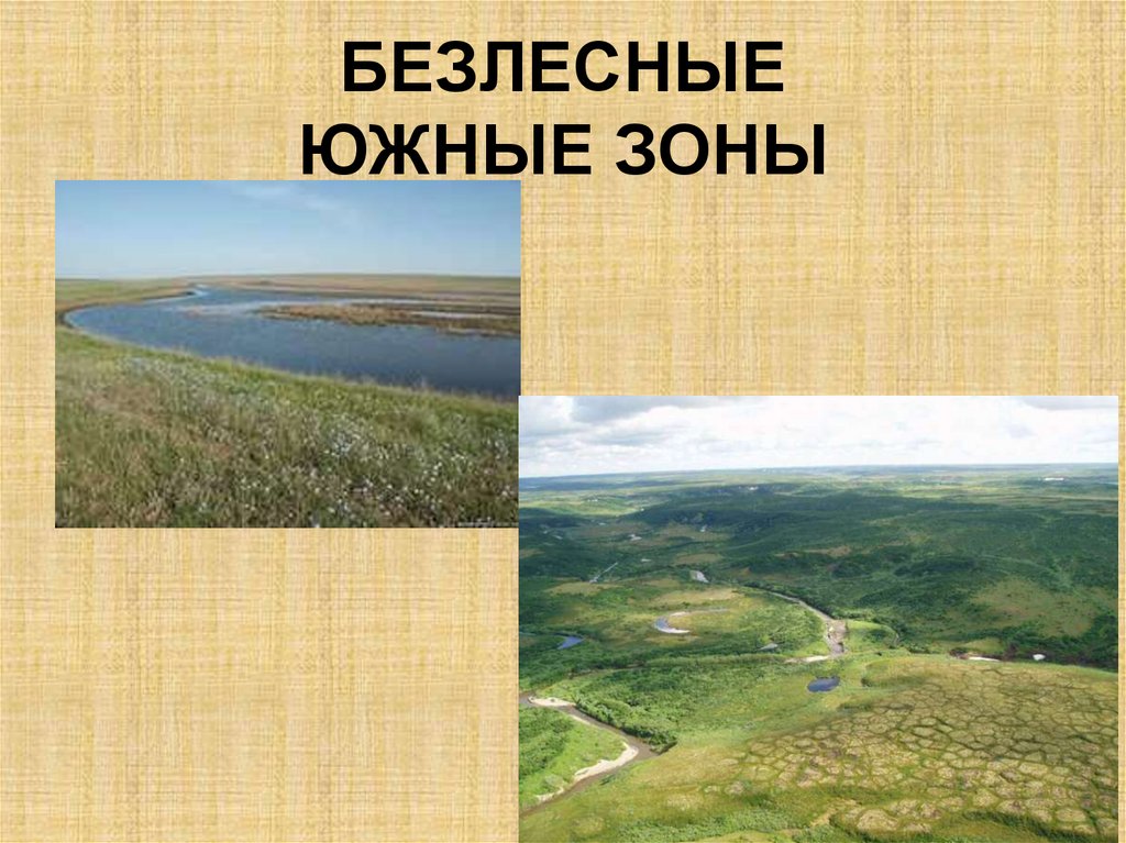 Безлесное место природная зона. Южные безлесные зоны. Безлесная природная зона. Южные безлесные зоны РФ. Безлесные зоны на юге России.